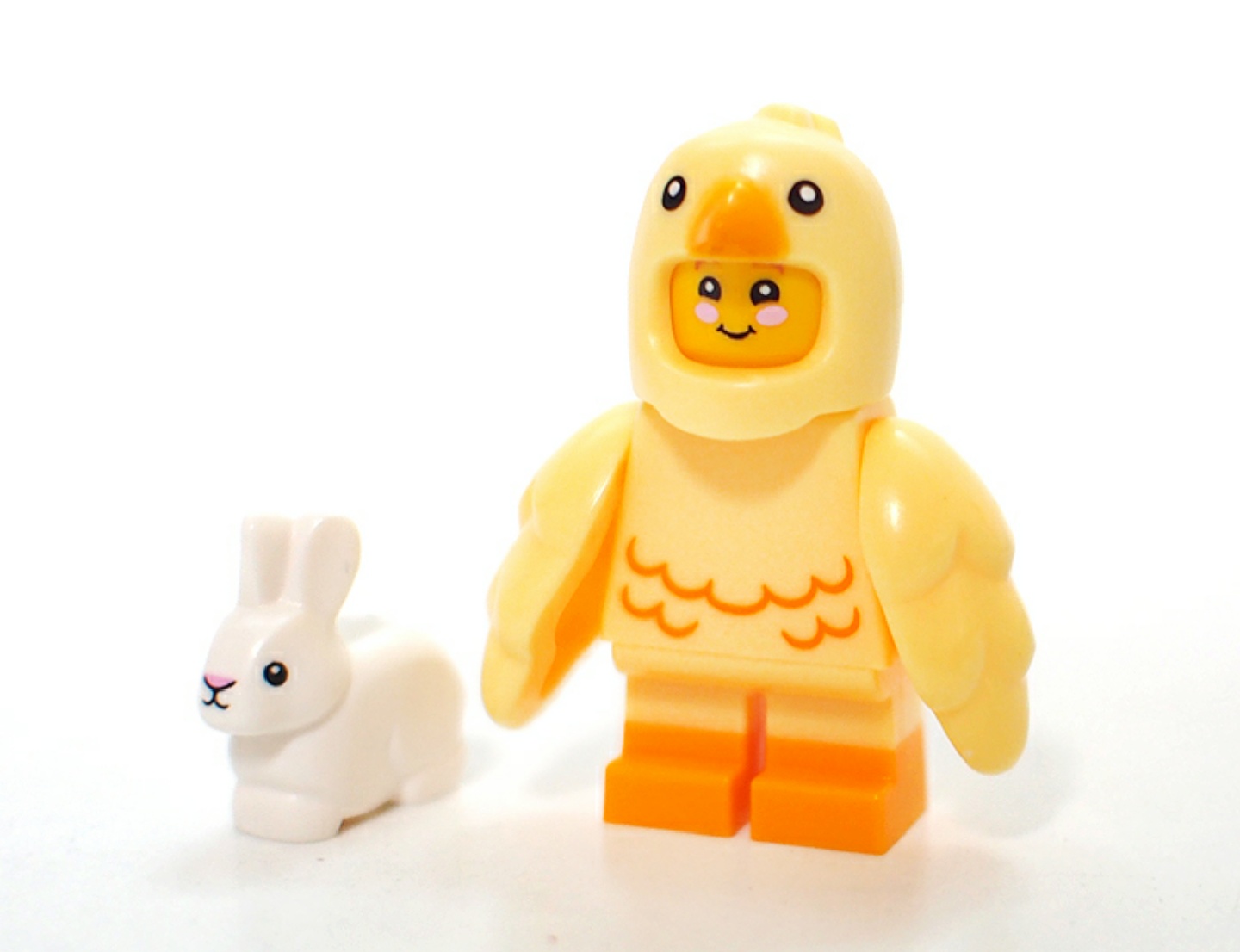 봄맞이 병아리모임