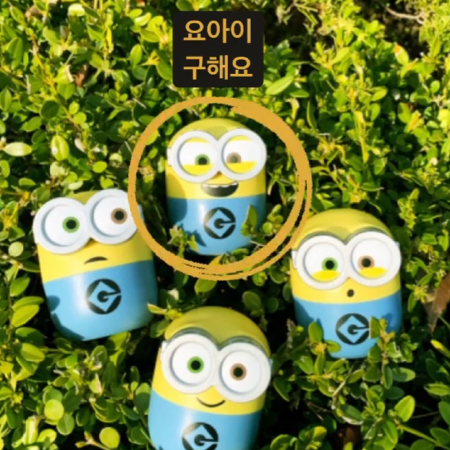 딱 한녀석만 구하면 끝인디