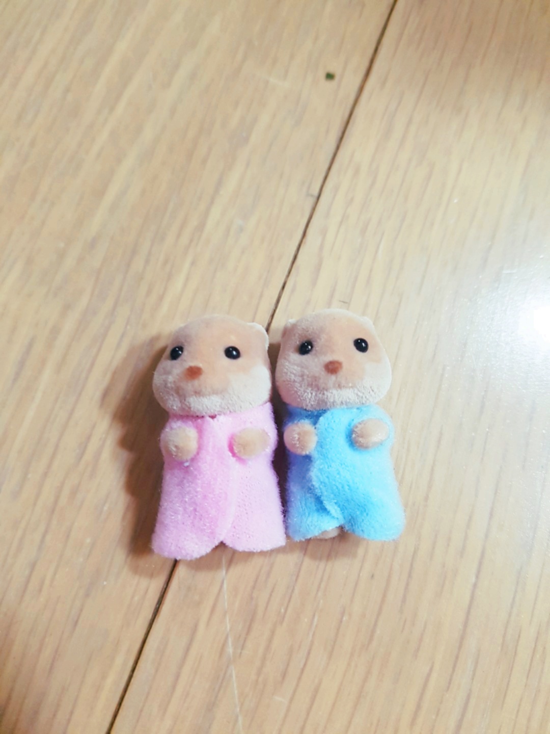 아기수달