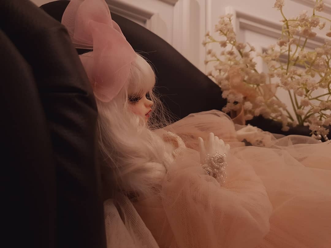 카터♡