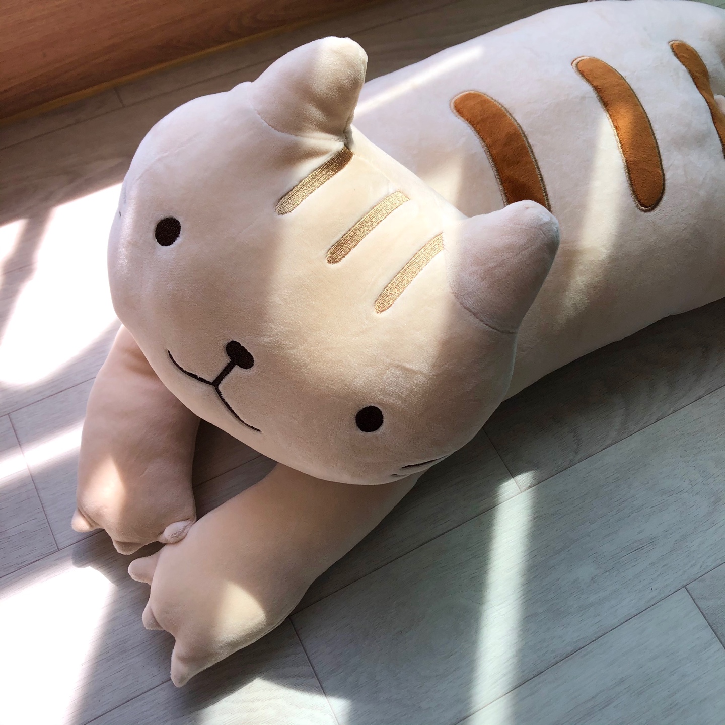 고양이 인형 🐱