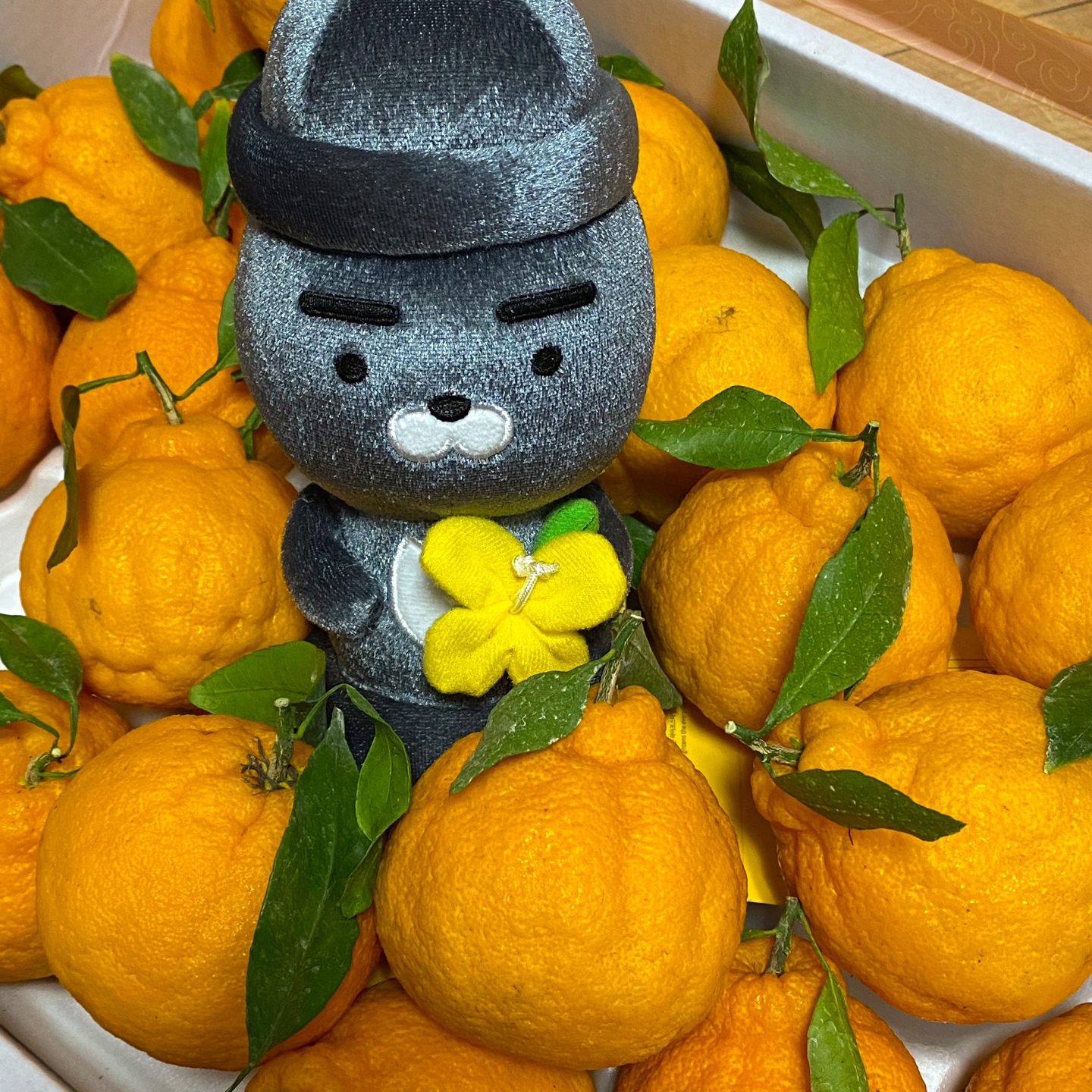 🍊