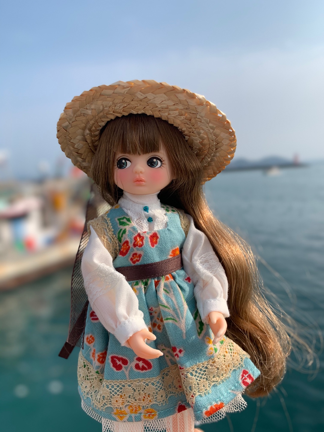 당근당근