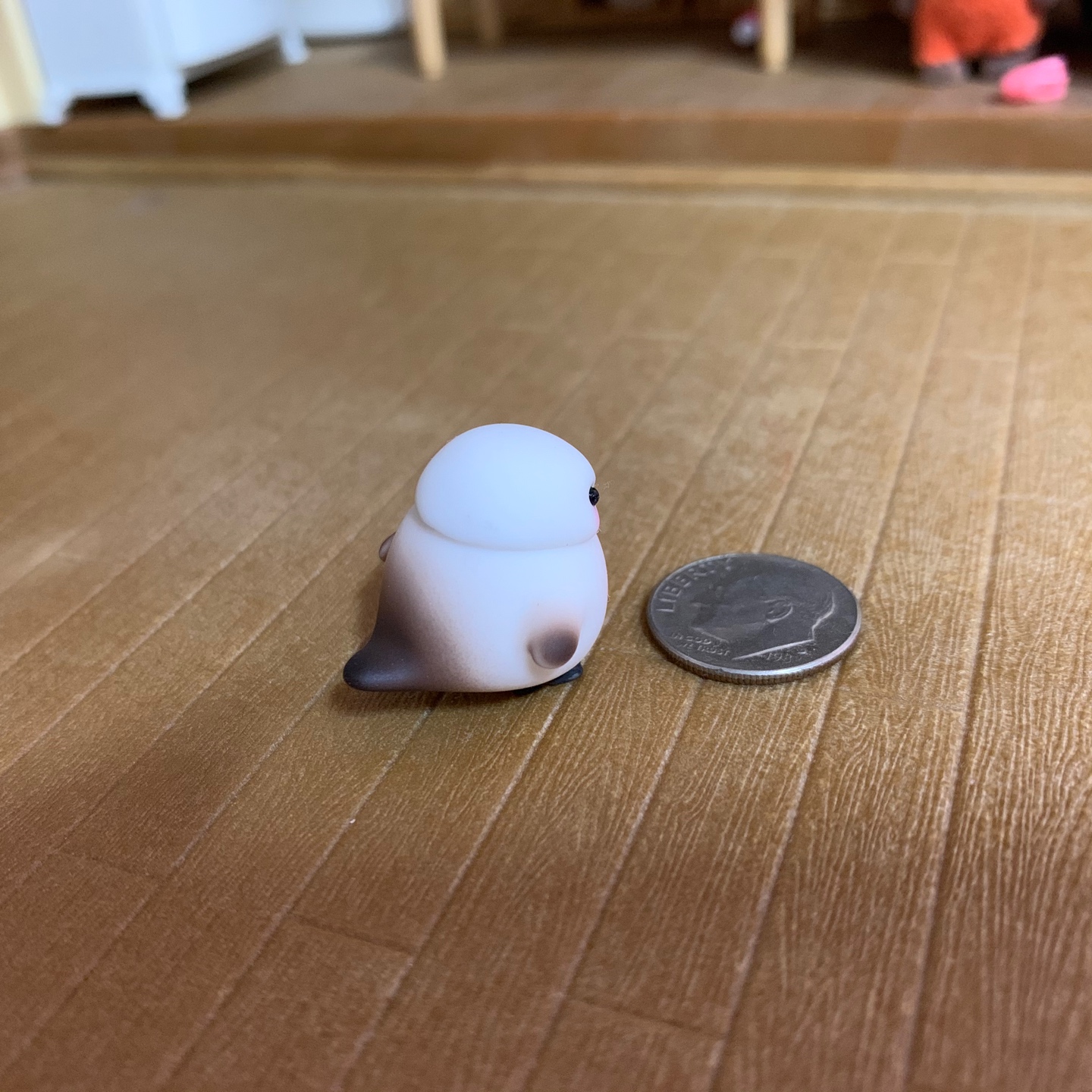누니