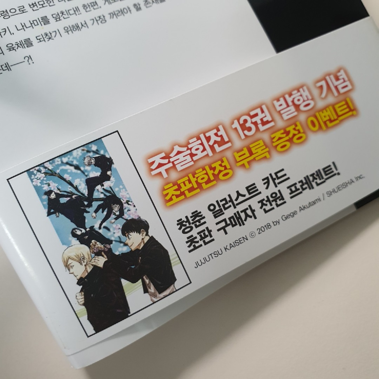 주술회전 13권 초한정판 부록