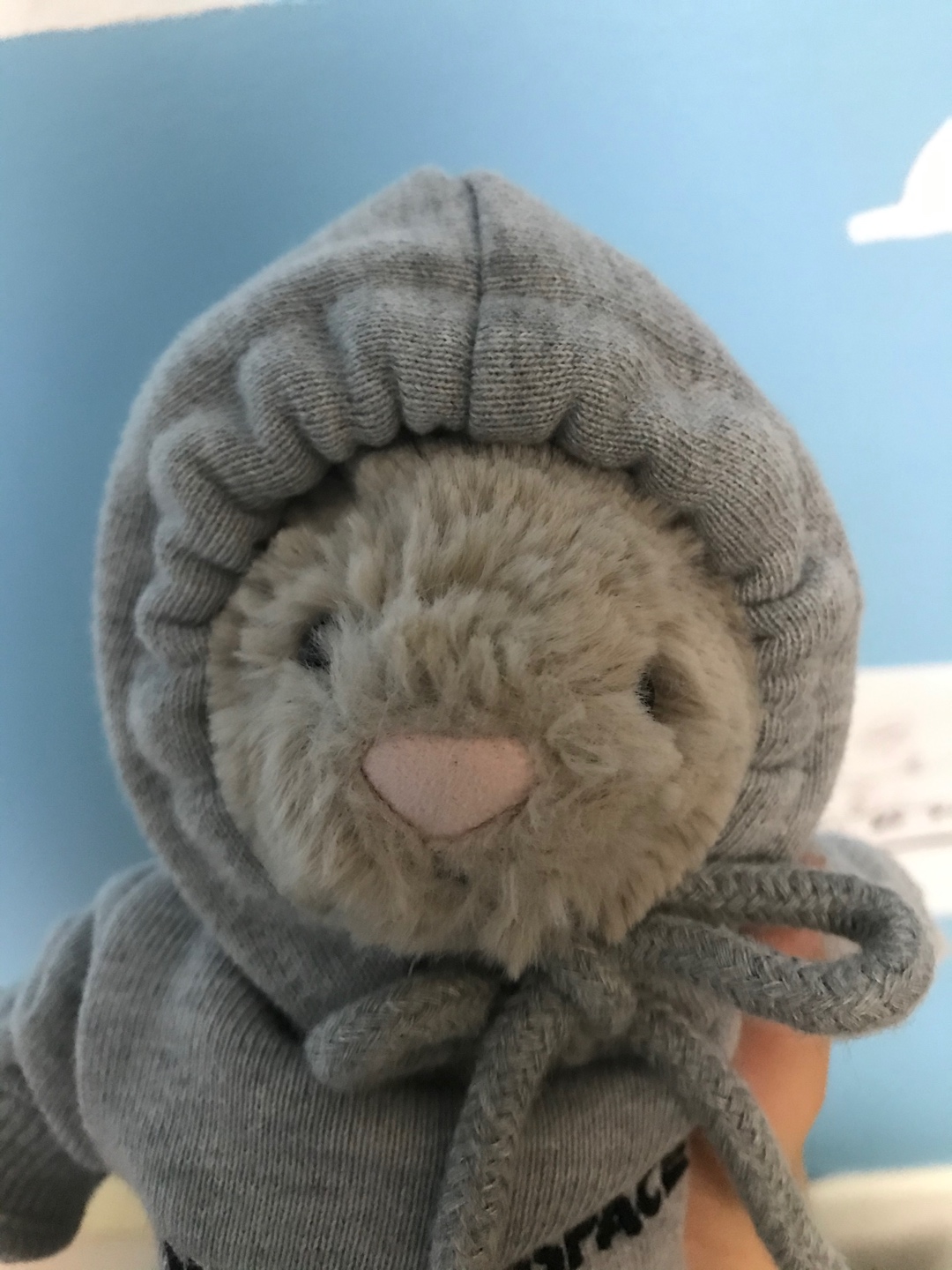 무슨 동물일까요🧐😉