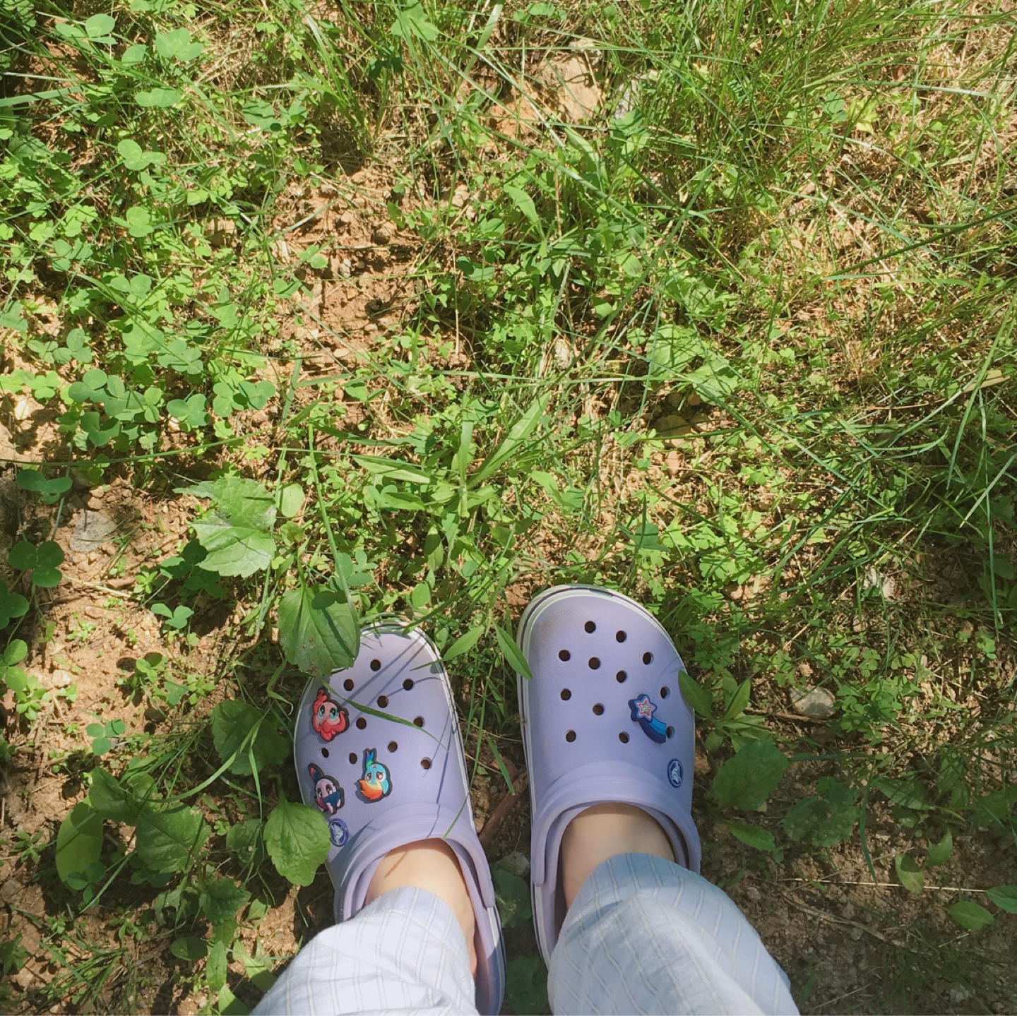 마이 리틀 포니 지비츠