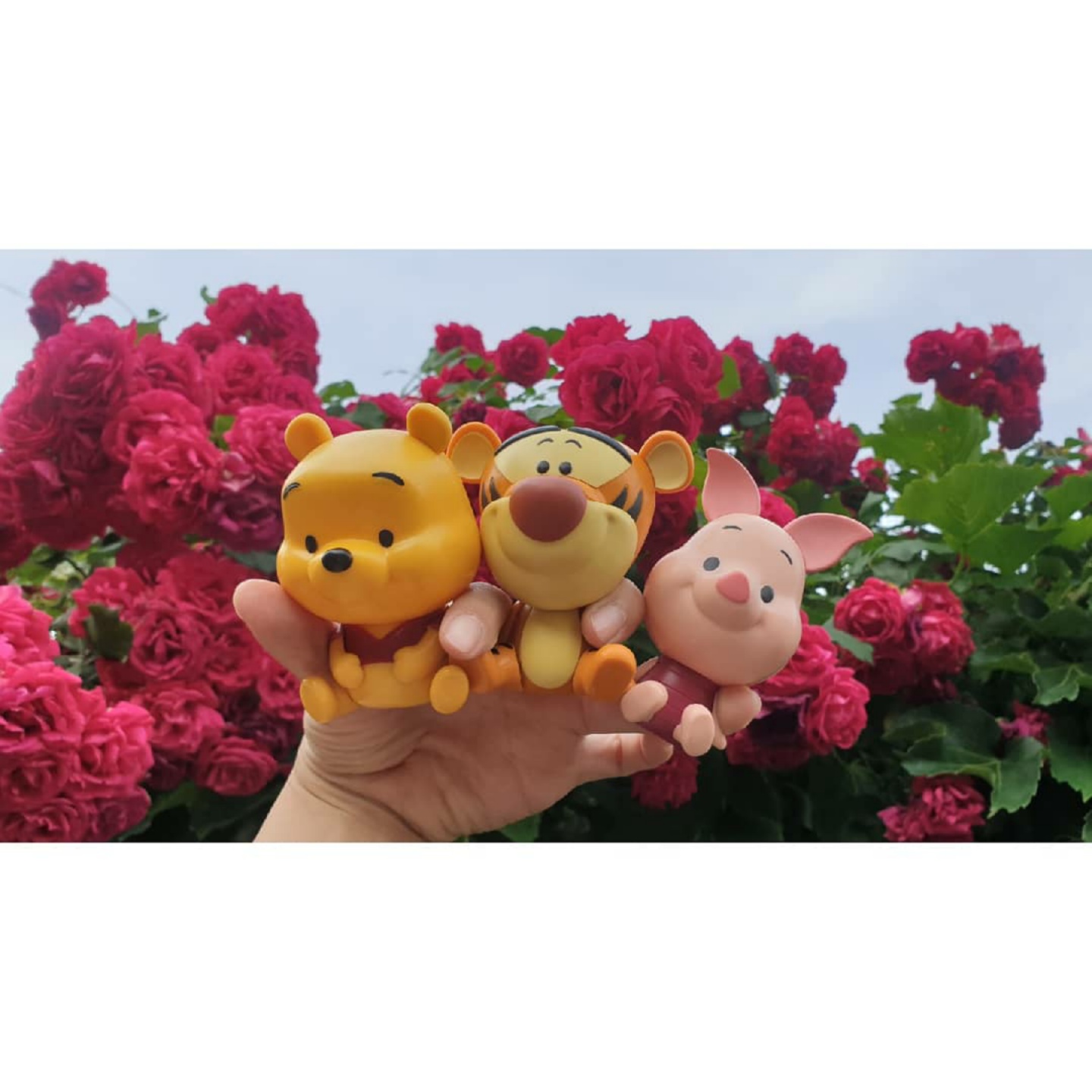꽃놀이도 함께하는 사이💛❤