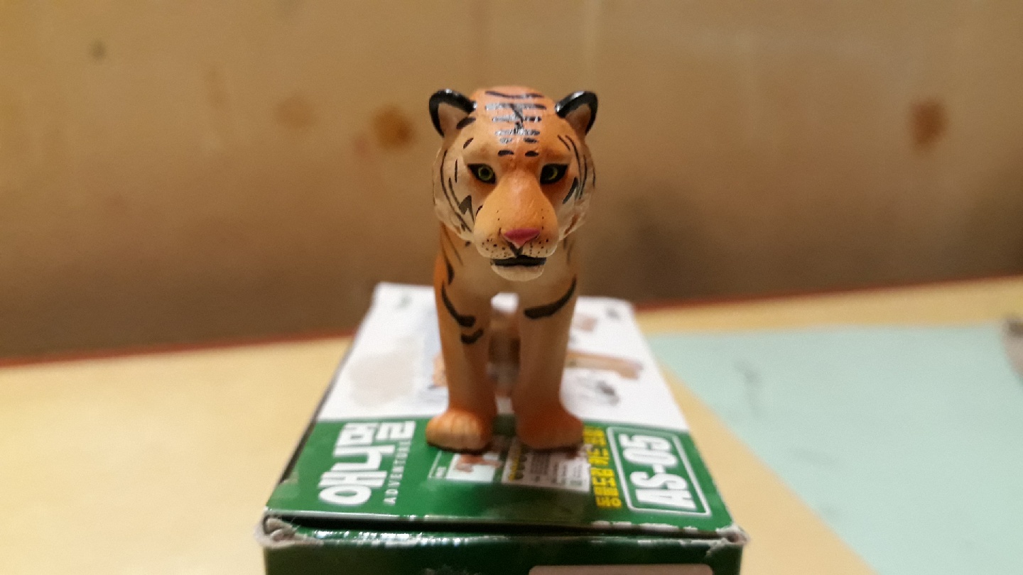 애니멀어드벤쳐 호랑이