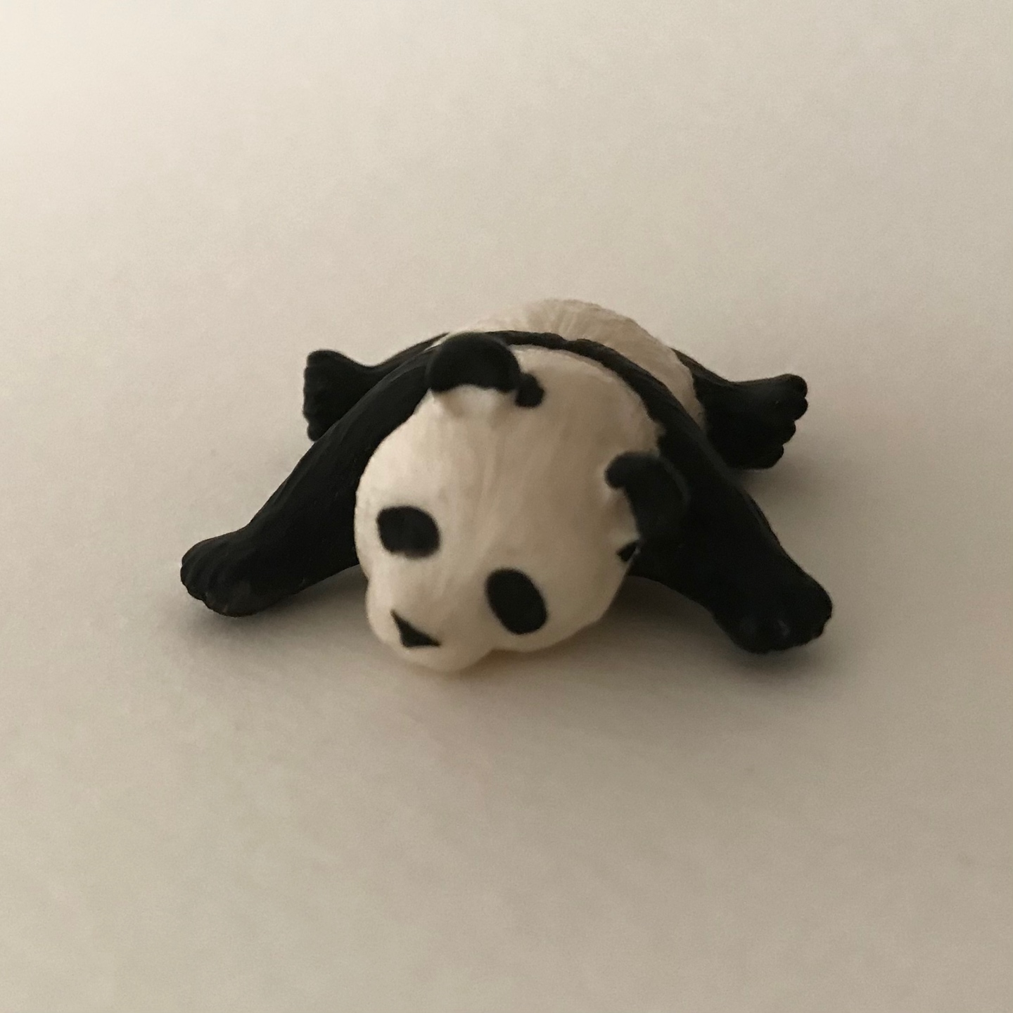 🐼