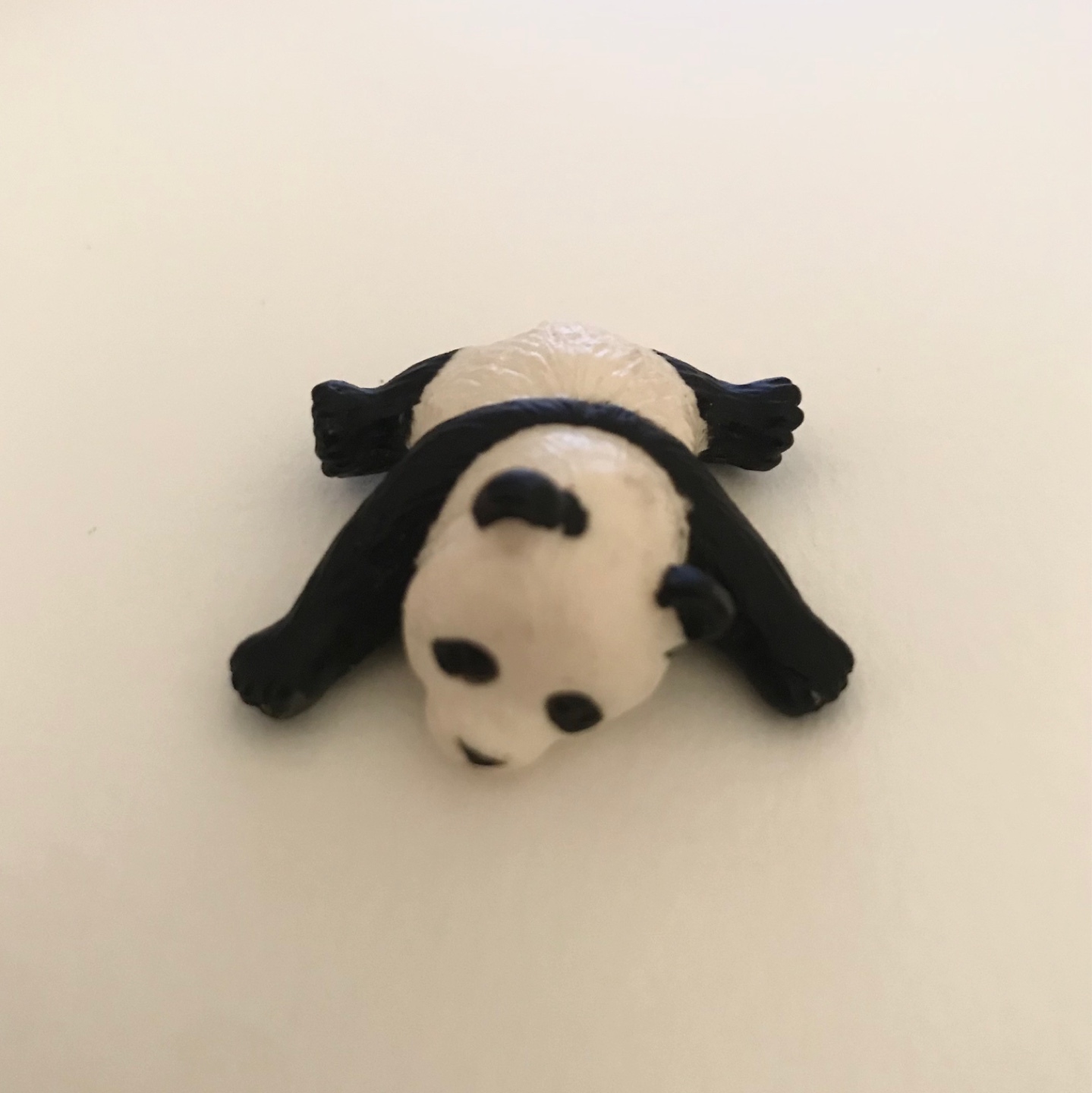 🐼