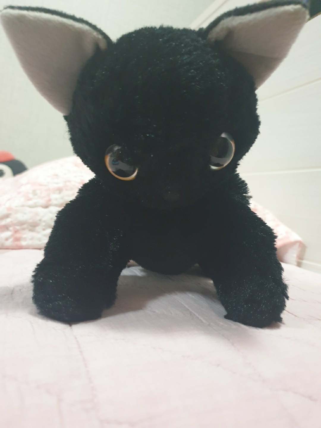 이사오기 전 -> 이사 온 후