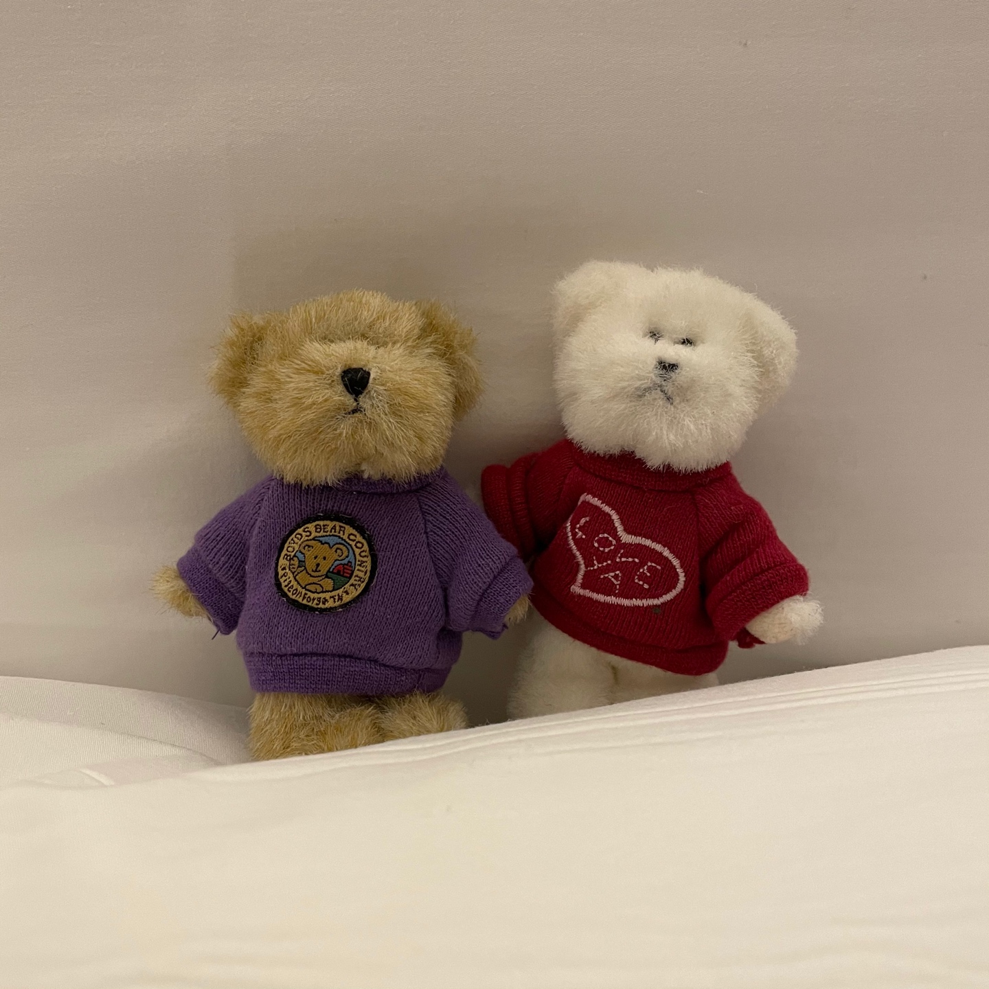 겸둥이들 🐻🐻