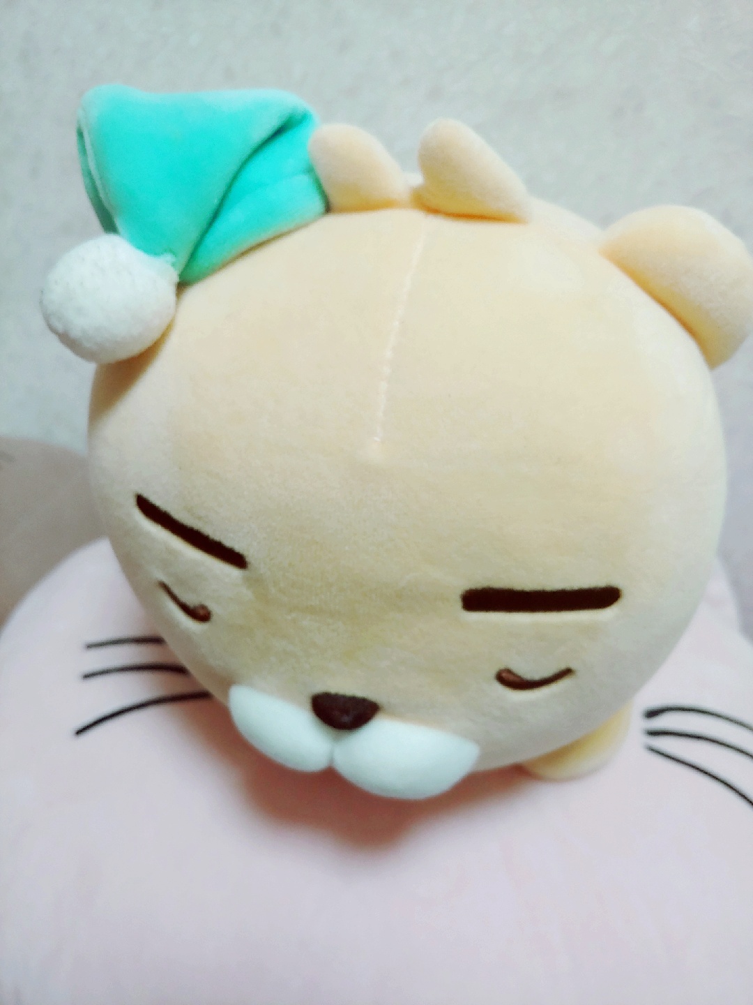 선물받은 잠자는 베이비 라이언 인형