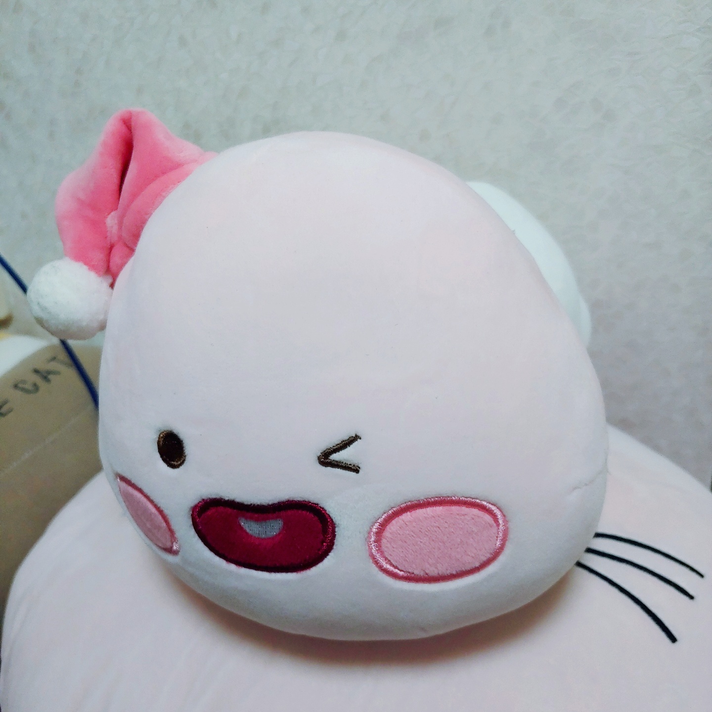 선물받은 베이비 어피치 인형