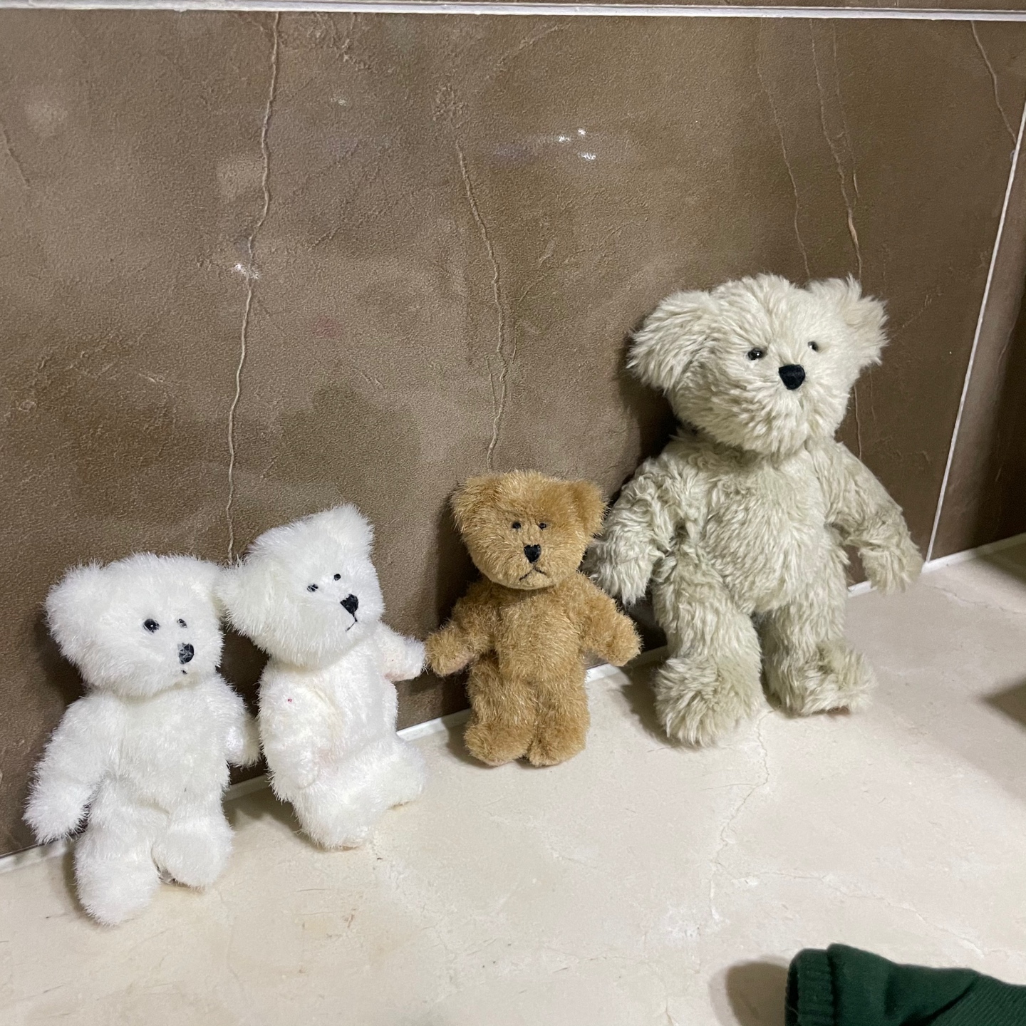 목욕이 무서운 보이즈베어들🧸