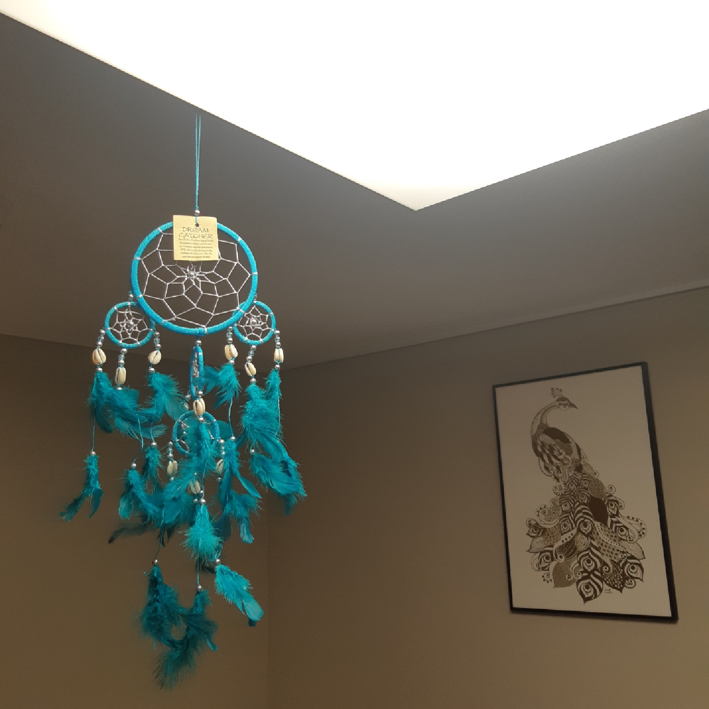 Dreamcatcher🕸