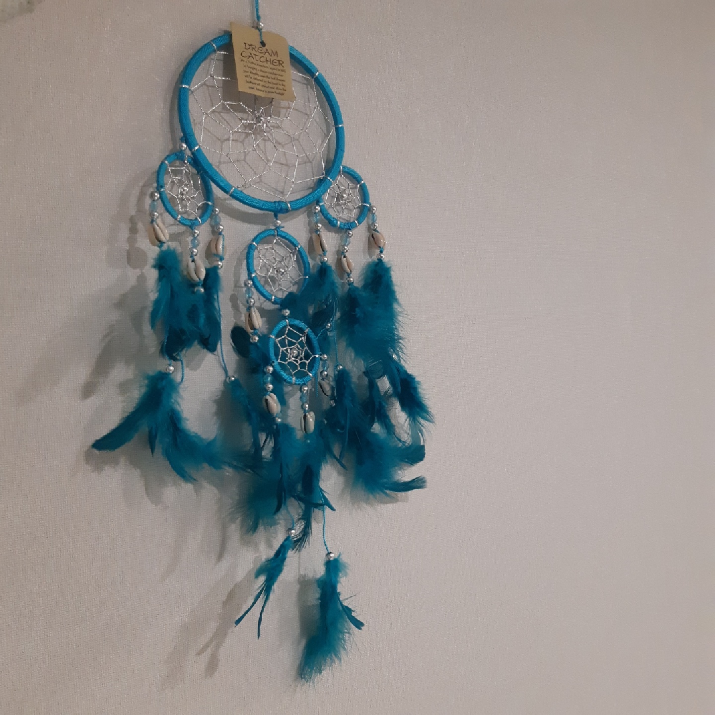Dreamcatcher🕸