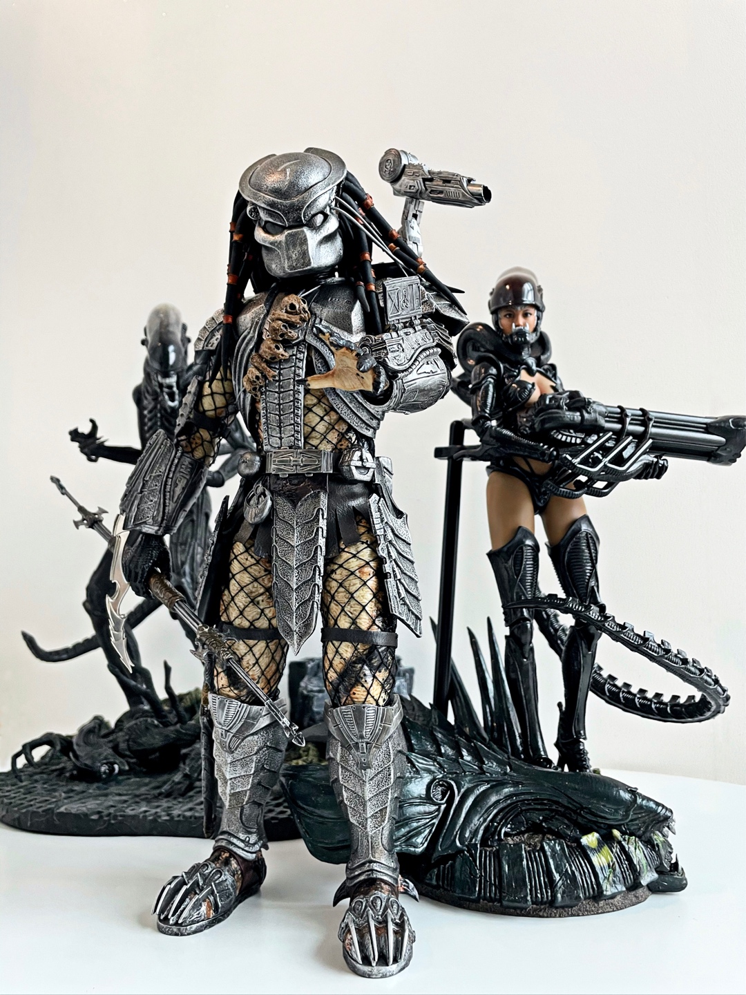 Hottoys avp 스카 프레데터