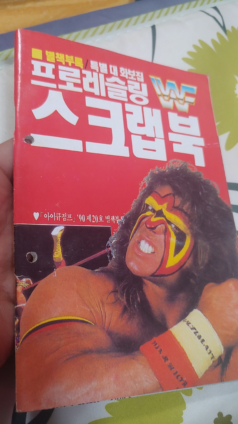 1990년의 WWF프로레슬링 특별대화보집