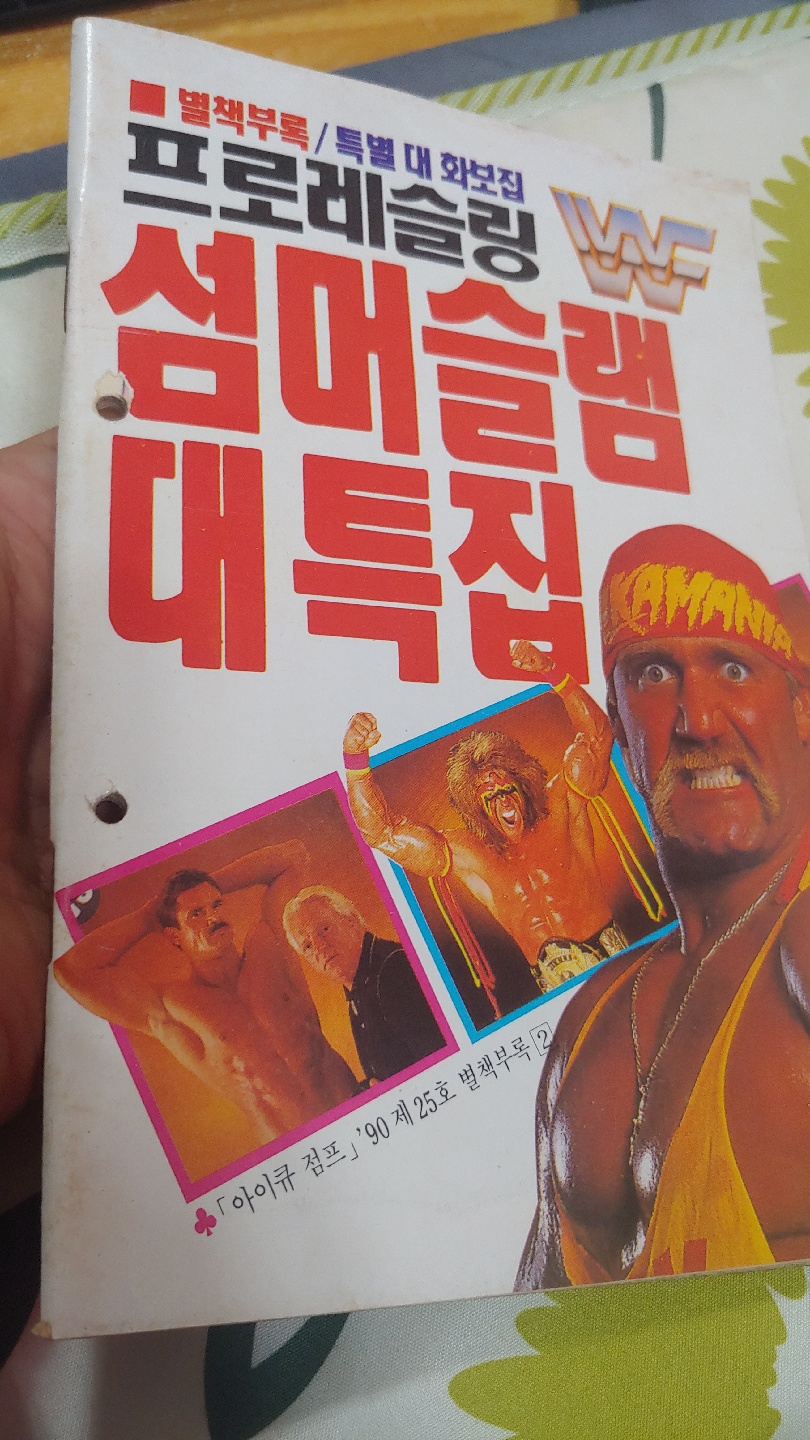 1990년의 WWF프로레슬링 특별대화보집