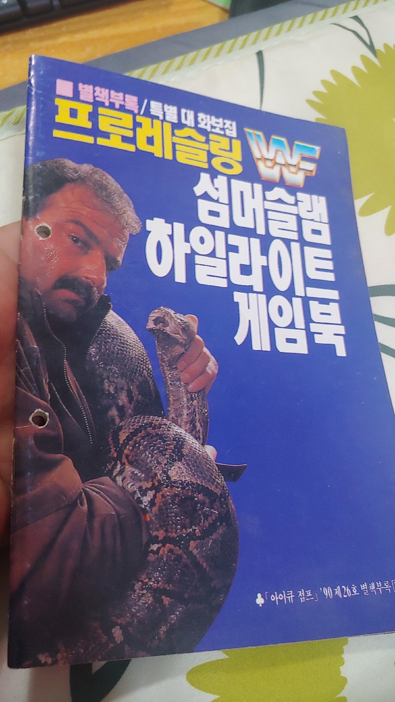 1990년의 WWF프로레슬링 특별대화보집