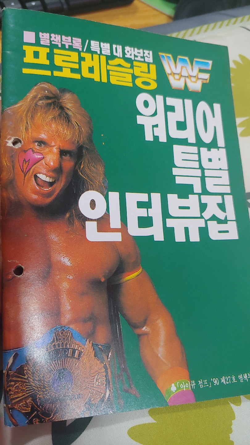 1990년의 WWF프로레슬링 특별대화보집