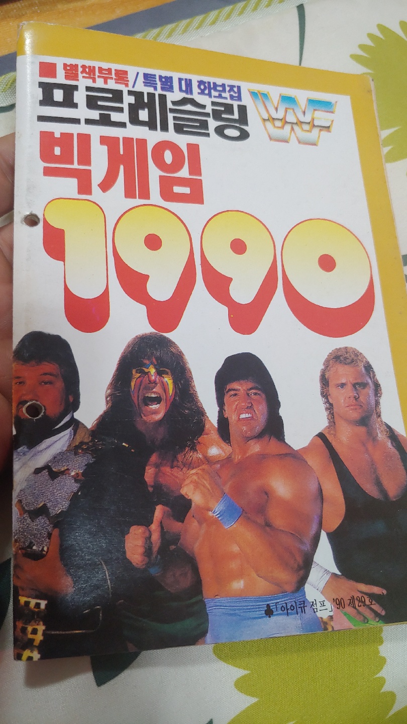 1990년의 WWF프로레슬링 특별대화보집