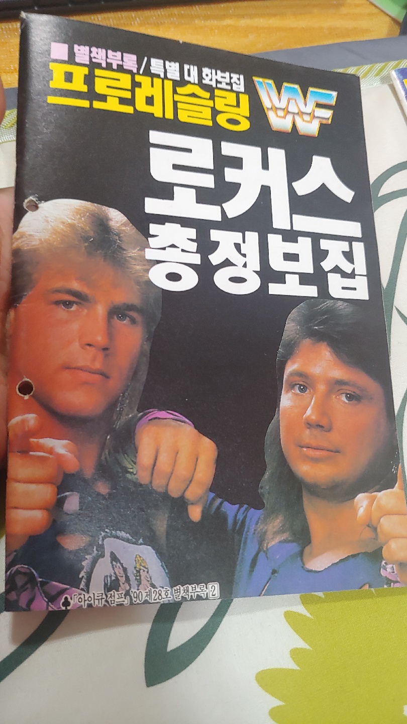 1990년의 WWF프로레슬링 특별대화보집