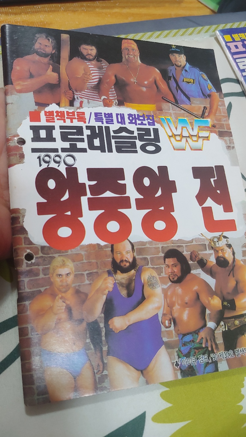 1990년의 WWF프로레슬링 특별대화보집