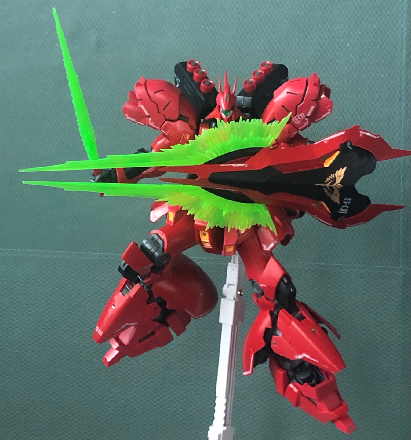 RG 사자비