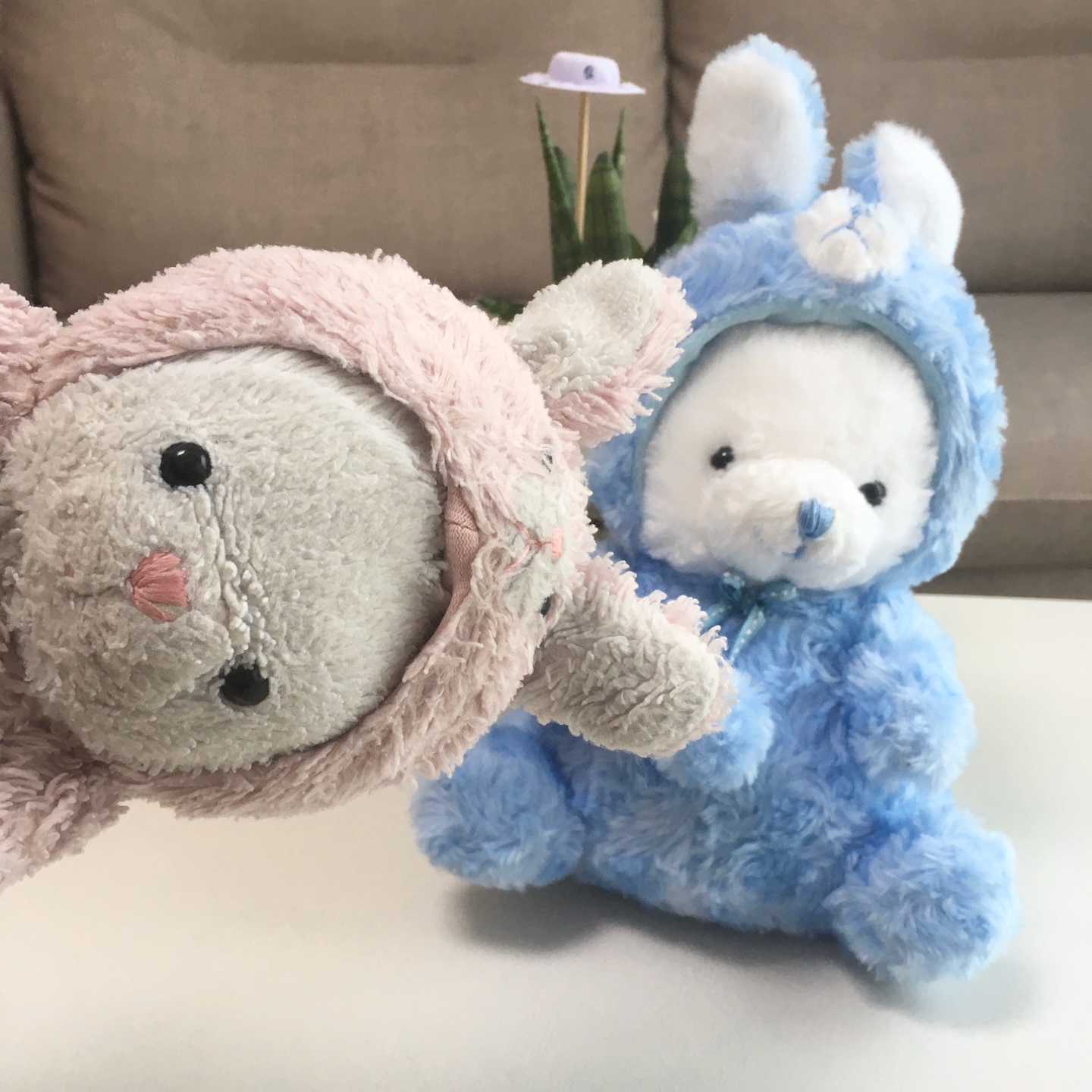 슈슈&붕붕🐻