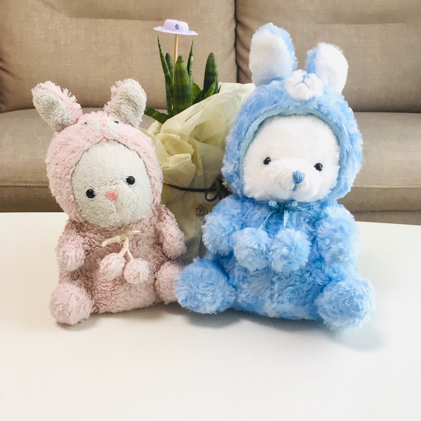 슈슈&붕붕🐻