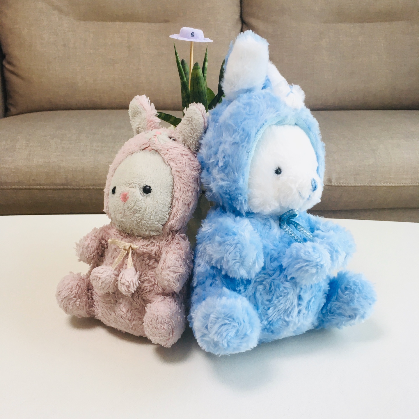 슈슈&붕붕🐻