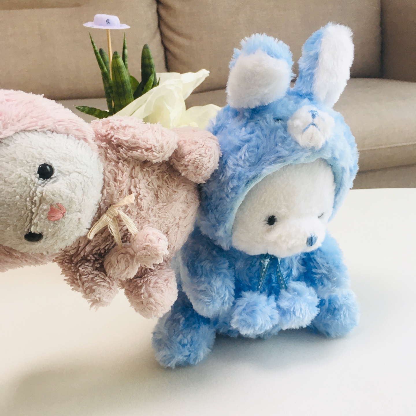 슈슈&붕붕🐻