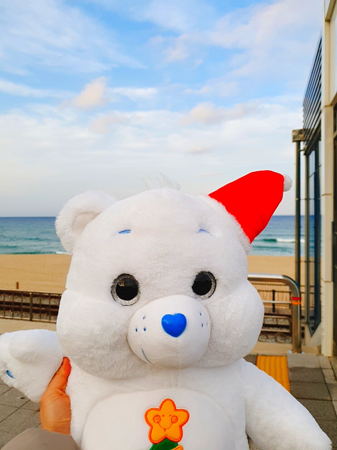 🎄크리스마스 케어베어🎄