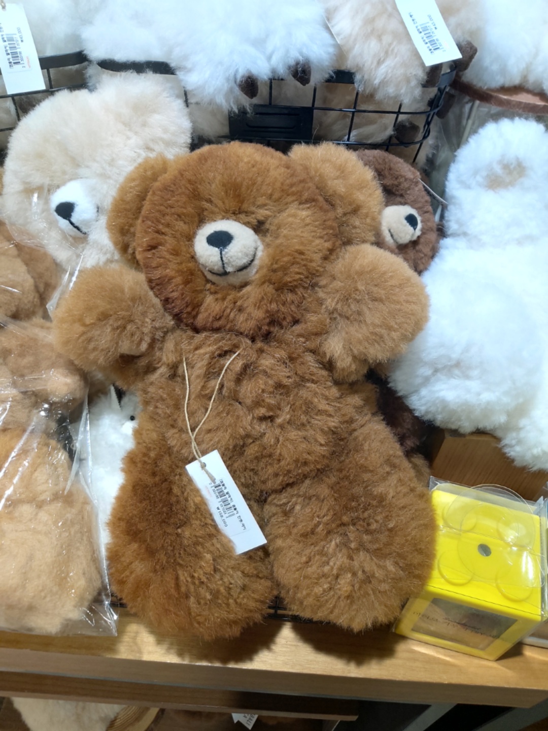 교보문고에서 발견한 알파카 곰