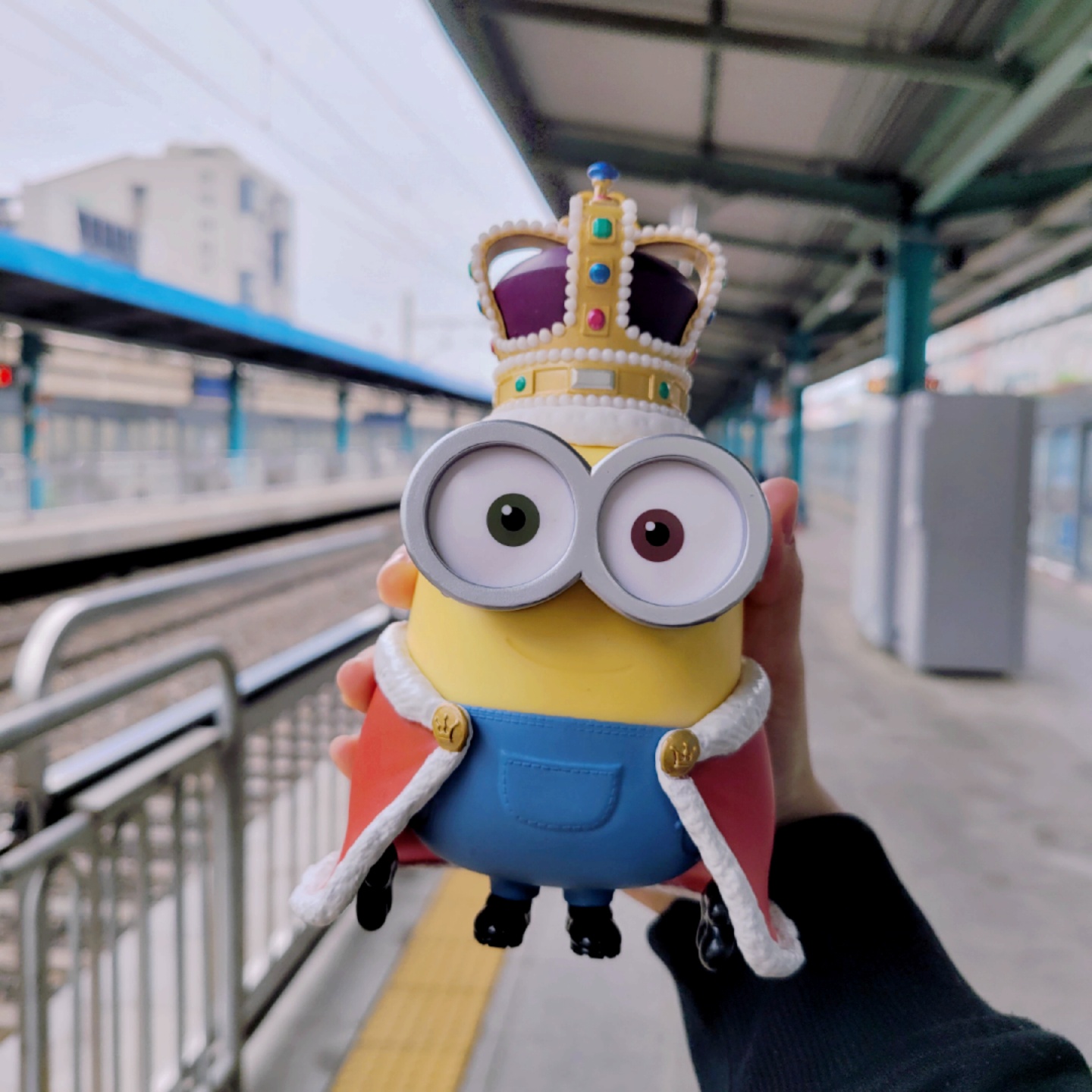 !!KING BOB!!