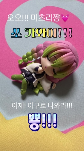 콜리 유저가 올린 이미지