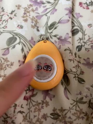 동물의 숲 콩돌밤돌 가챠💛🧡