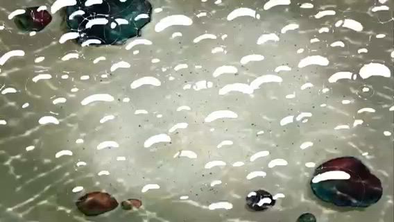 스폰지밥이 축하해주는 내 생일