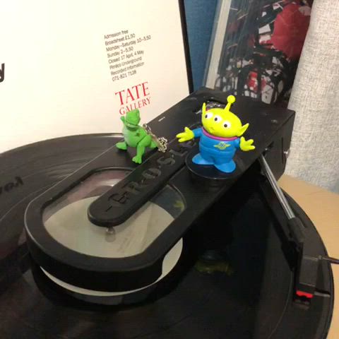DJ 렉스 & 알린