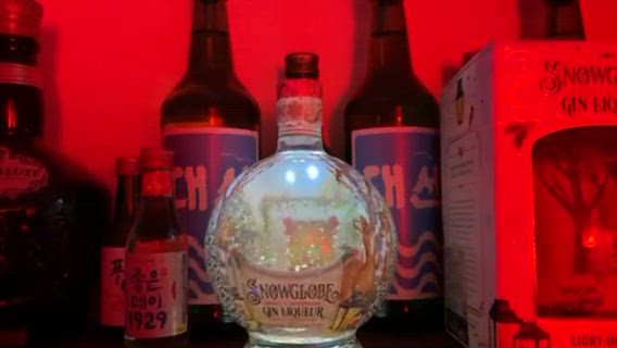 스노우 글로브 진 리큐르🍸