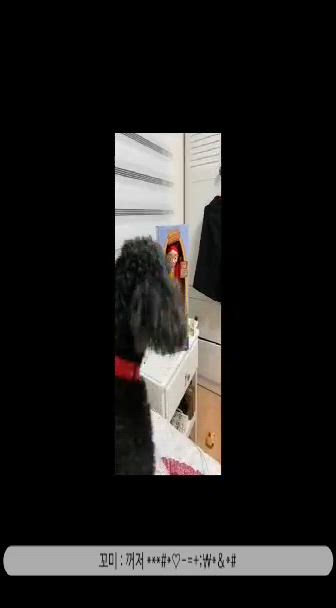 장난)제시한테 깜놀한 댕댕이♡