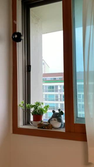 [이웃집 토토로] 창가의 토토로🌿