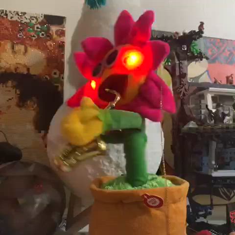 춤추는 해바라기