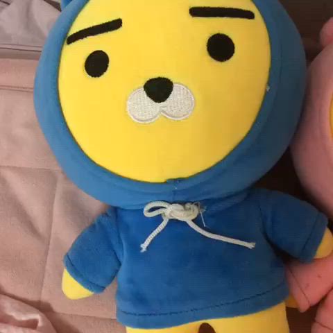 귀요미들