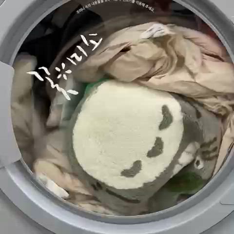토토로 : 죽 여 줘 … 