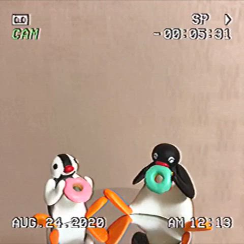 🍩 ᴘɪɴɢᴜ 🍩
