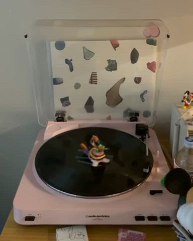 🌊🌊🌊🌊